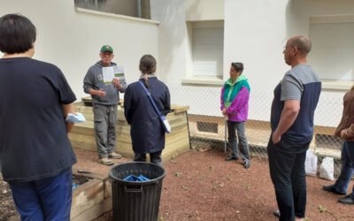 Manceron : la plus ancienne cité HLM se met au vert !