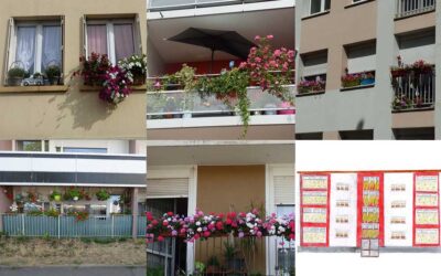Opération « Balcons et entrées fleuris », le jury a délibéré !